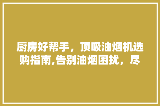 厨房好帮手，顶吸油烟机选购指南,告别油烟困扰，尽享健康烹饪时光 厨房好帮手，顶吸油烟机选购指南,告别油烟困扰，尽享健康烹饪时光 墙体维修