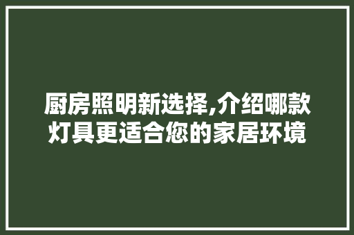 厨房照明新选择,介绍哪款灯具更适合您的家居环境