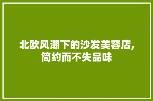 北欧风潮下的沙发美容店,简约而不失品味
