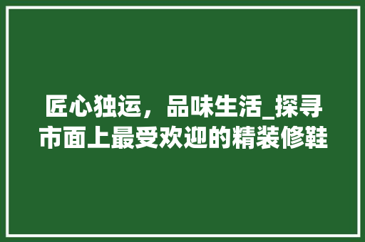 匠心独运，品味生活_探寻市面上最受欢迎的精装修鞋柜