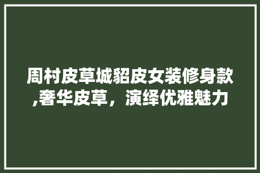 周村皮草城貂皮女装修身款,奢华皮草，演绎优雅魅力