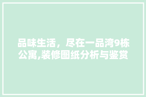 品味生活，尽在一品湾9栋公寓,装修图纸分析与鉴赏