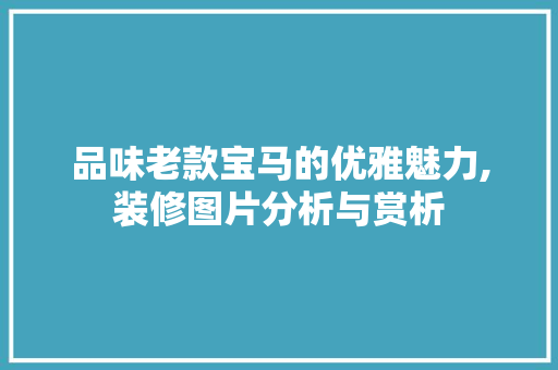 品味老款宝马的优雅魅力,装修图片分析与赏析