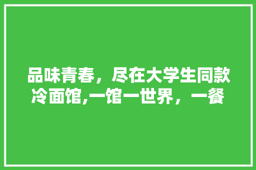 品味青春，尽在大学生同款冷面馆,一馆一世界，一餐一人生