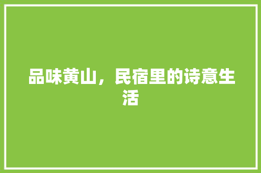 品味黄山，民宿里的诗意生活