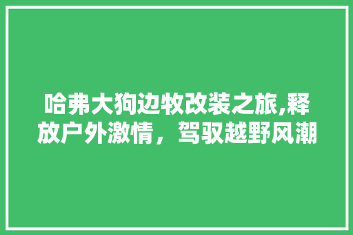 哈弗大狗边牧改装之旅,释放户外激情，驾驭越野风潮 哈弗大狗边牧改装之旅,释放户外激情，驾驭越野风潮 居家维修