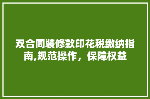 双合同装修款印花税缴纳指南,规范操作，保障权益 双合同装修款印花税缴纳指南,规范操作，保障权益 户内维修