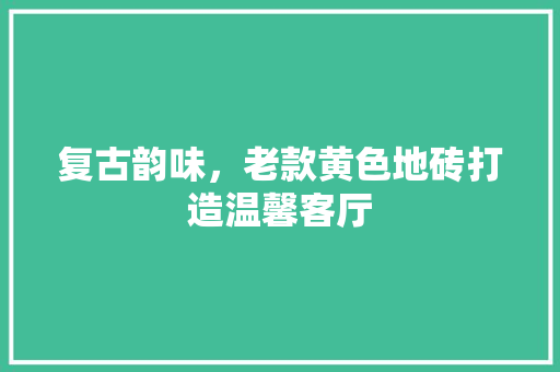 复古韵味，老款黄色地砖打造温馨客厅 复古韵味，老款黄色地砖打造温馨客厅 墙体维修