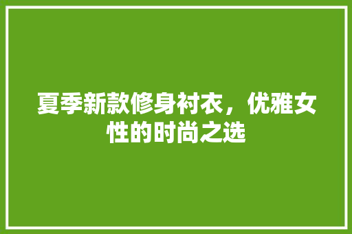 夏季新款修身衬衣，优雅女性的时尚之选 夏季新款修身衬衣，优雅女性的时尚之选 居家维修