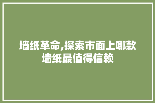 墙纸革命,探索市面上哪款墙纸最值得信赖 墙纸革命,探索市面上哪款墙纸最值得信赖 厨房维修