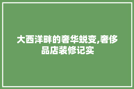 大西洋畔的奢华蜕变,奢侈品店装修记实 大西洋畔的奢华蜕变,奢侈品店装修记实 厨房维修