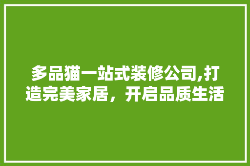 多品猫一站式装修公司,打造完美家居，开启品质生活新篇章 多品猫一站式装修公司,打造完美家居，开启品质生活新篇章 家电维修