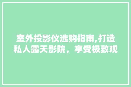 室外投影仪选购指南,打造私人露天影院，享受极致观影体验 室外投影仪选购指南,打造私人露天影院，享受极致观影体验 户内维修