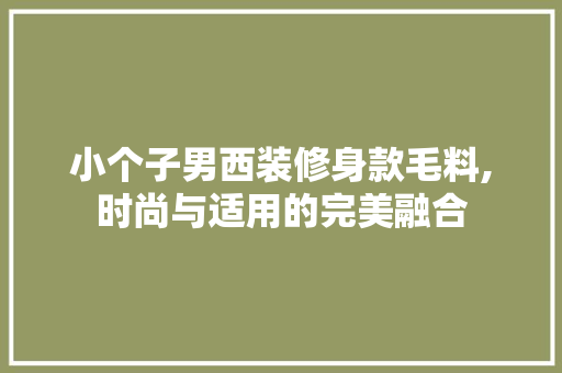 小个子男西装修身款毛料,时尚与适用的完美融合 小个子男西装修身款毛料,时尚与适用的完美融合 家电维修
