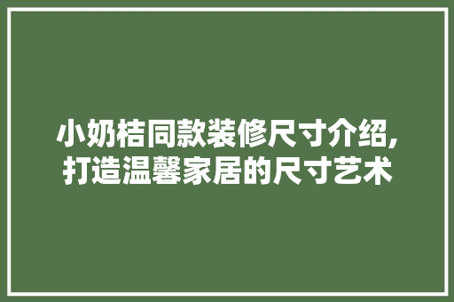 小奶桔同款装修尺寸介绍,打造温馨家居的尺寸艺术 小奶桔同款装修尺寸介绍,打造温馨家居的尺寸艺术 厨房维修