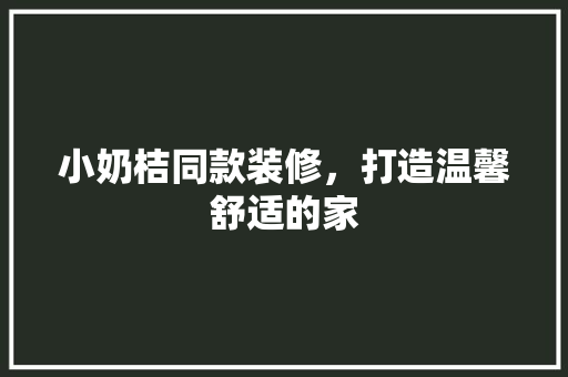 小奶桔同款装修，打造温馨舒适的家 小奶桔同款装修，打造温馨舒适的家 家电维修