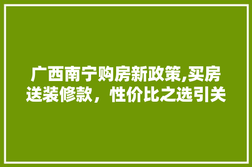 广西南宁购房新政策,买房送装修款，性价比之选引关注！ 广西南宁购房新政策,买房送装修款，性价比之选引关注！ 厨房维修