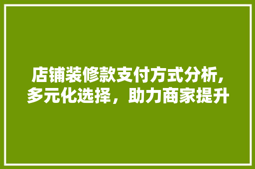 店铺装修款支付方式分析,多元化选择，助力商家提升效率 店铺装修款支付方式分析,多元化选择，助力商家提升效率 墙体维修