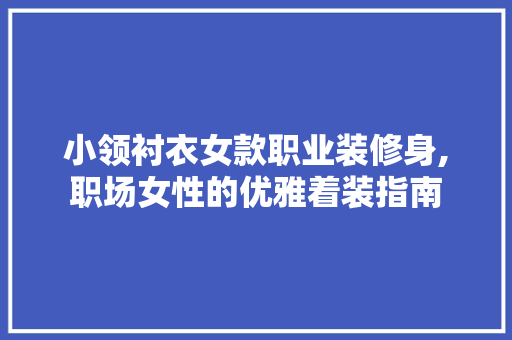 小领衬衣女款职业装修身,职场女性的优雅着装指南 小领衬衣女款职业装修身,职场女性的优雅着装指南 户内维修