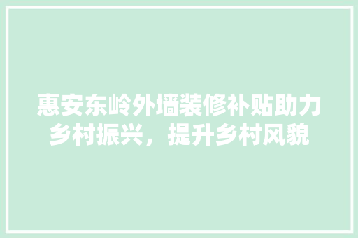 惠安东岭外墙装修补贴助力乡村振兴，提升乡村风貌 惠安东岭外墙装修补贴助力乡村振兴，提升乡村风貌 厨房维修
