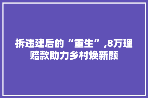 拆违建后的“重生”,8万理赔款助力乡村焕新颜 拆违建后的“重生”,8万理赔款助力乡村焕新颜 户内维修