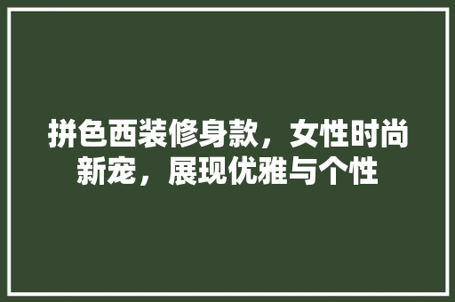 拼色西装修身款，女性时尚新宠，展现优雅与个性 拼色西装修身款，女性时尚新宠，展现优雅与个性 厨房维修
