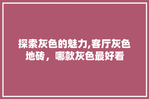 探索灰色的魅力,客厅灰色地砖，哪款灰色最好看 探索灰色的魅力,客厅灰色地砖，哪款灰色最好看 厨房维修