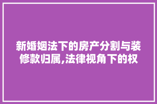 新婚姻法下的房产分割与装修款归属,法律视角下的权益分析 新婚姻法下的房产分割与装修款归属,法律视角下的权益分析 墙体维修
