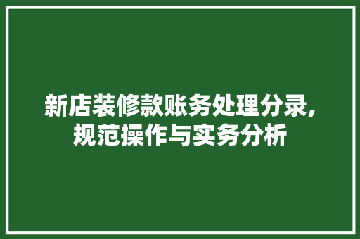 新店装修款账务处理分录,规范操作与实务分析 新店装修款账务处理分录,规范操作与实务分析 墙体维修