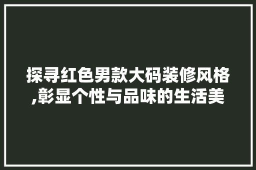 探寻红色男款大码装修风格,彰显个性与品味的生活美学 探寻红色男款大码装修风格,彰显个性与品味的生活美学 居家维修