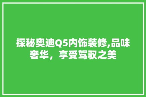 探秘奥迪Q5内饰装修,品味奢华，享受驾驭之美 探秘奥迪Q5内饰装修,品味奢华，享受驾驭之美 厨房维修