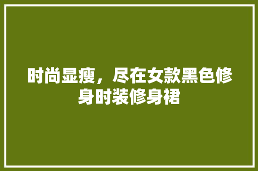 时尚显瘦，尽在女款黑色修身时装修身裙 时尚显瘦，尽在女款黑色修身时装修身裙 居家维修