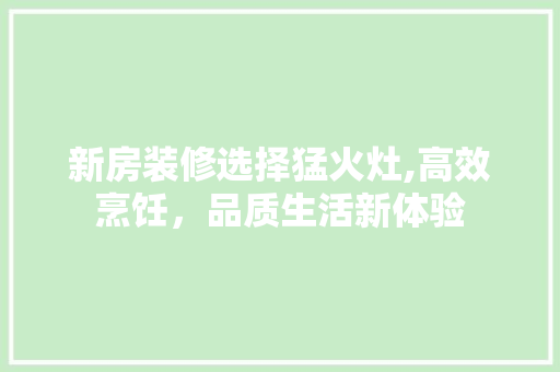 新房装修选择猛火灶,高效烹饪，品质生活新体验 新房装修选择猛火灶,高效烹饪，品质生活新体验 居家维修