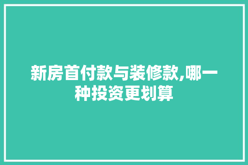 新房首付款与装修款,哪一种投资更划算 新房首付款与装修款,哪一种投资更划算 家电维修