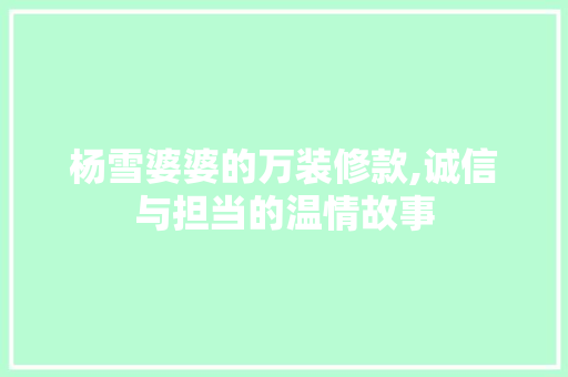 杨雪婆婆的万装修款,诚信与担当的温情故事 杨雪婆婆的万装修款,诚信与担当的温情故事 家电维修