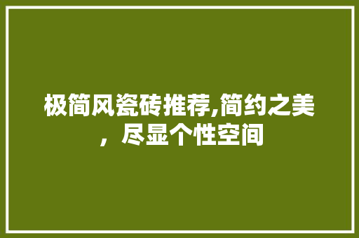 极简风瓷砖推荐,简约之美，尽显个性空间 极简风瓷砖推荐,简约之美，尽显个性空间 厨房维修