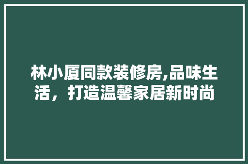 林小厦同款装修房,品味生活，打造温馨家居新时尚 林小厦同款装修房,品味生活，打造温馨家居新时尚 厨房维修