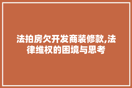 法拍房欠开发商装修款,法律维权的困境与思考 法拍房欠开发商装修款,法律维权的困境与思考 墙体维修