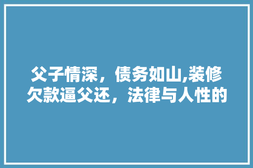 父子情深，债务如山,装修欠款逼父还，法律与人性的较量 父子情深，债务如山,装修欠款逼父还，法律与人性的较量 家电维修