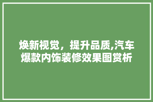 焕新视觉，提升品质,汽车爆款内饰装修效果图赏析 焕新视觉，提升品质,汽车爆款内饰装修效果图赏析 厨房维修