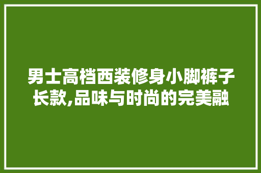 男士高档西装修身小脚裤子长款,品味与时尚的完美融合 男士高档西装修身小脚裤子长款,品味与时尚的完美融合 墙体维修