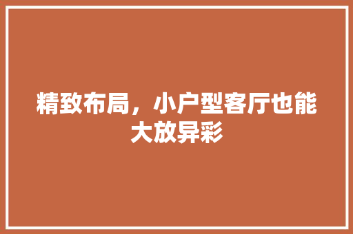 精致布局，小户型客厅也能大放异彩 精致布局，小户型客厅也能大放异彩 厨房维修