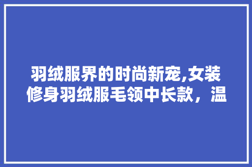 羽绒服界的时尚新宠,女装修身羽绒服毛领中长款，温暖与风度并存 羽绒服界的时尚新宠,女装修身羽绒服毛领中长款，温暖与风度并存 厨房维修