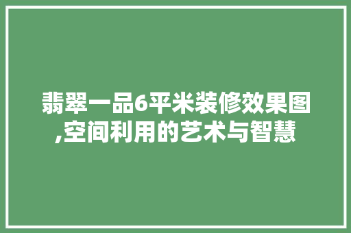 翡翠一品6平米装修效果图,空间利用的艺术与智慧 翡翠一品6平米装修效果图,空间利用的艺术与智慧 厨房维修