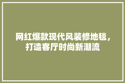 网红爆款现代风装修地毯，打造客厅时尚新潮流 网红爆款现代风装修地毯，打造客厅时尚新潮流 户内维修