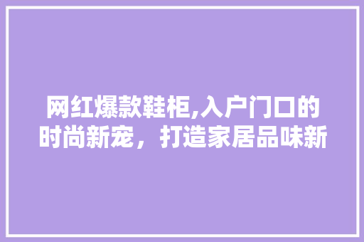 网红爆款鞋柜,入户门口的时尚新宠，打造家居品味新高度 网红爆款鞋柜,入户门口的时尚新宠，打造家居品味新高度 墙体维修