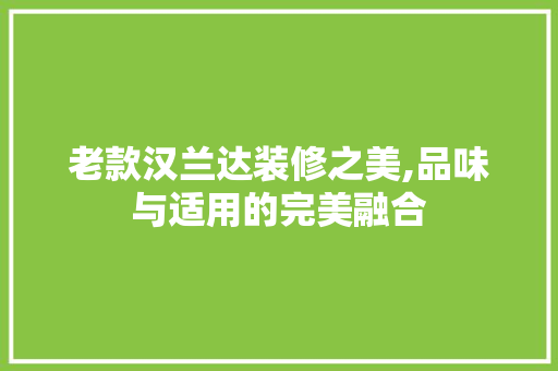 老款汉兰达装修之美,品味与适用的完美融合 老款汉兰达装修之美,品味与适用的完美融合 墙体维修