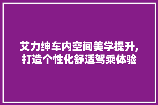 艾力绅车内空间美学提升,打造个性化舒适驾乘体验 艾力绅车内空间美学提升,打造个性化舒适驾乘体验 厨房维修