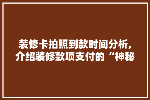 装修卡拍照到款时间分析,介绍装修款项支付的“神秘面纱” 装修卡拍照到款时间分析,介绍装修款项支付的“神秘面纱” 家电维修