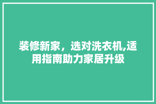 装修新家，选对洗衣机,适用指南助力家居升级 装修新家，选对洗衣机,适用指南助力家居升级 墙体维修